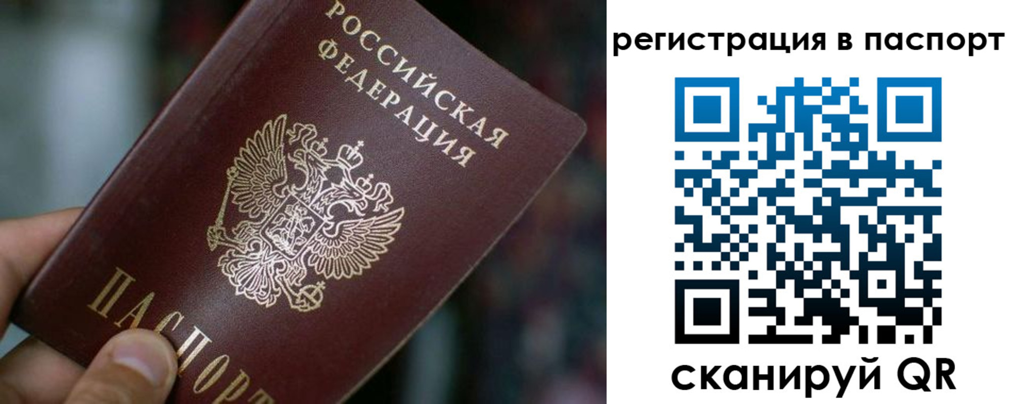 временная регистрация недорого в Камешково